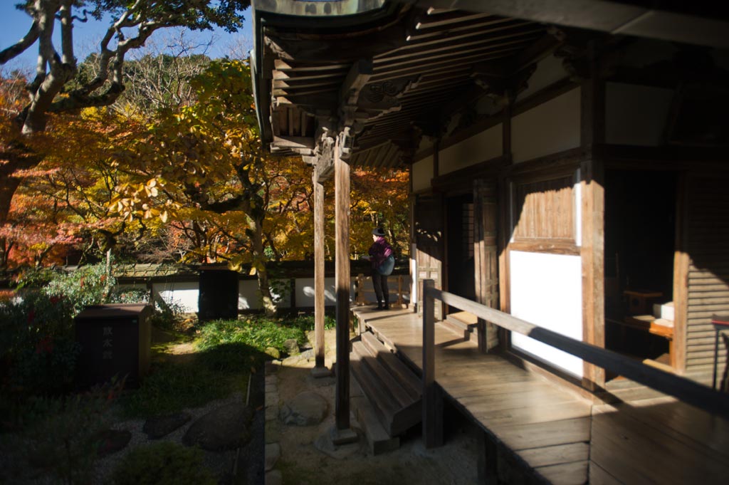 ◆正暦寺　Ⅲ　福寿院　奈良県奈良市_b0023047_60363.jpg