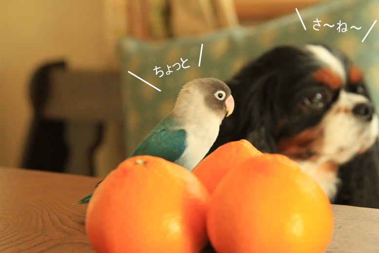 c0145250_10402181.jpg