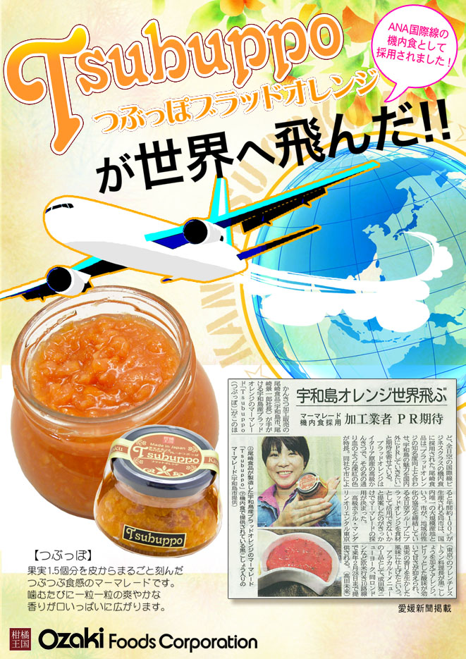 つぶっぽが世界へ飛んだ!!_e0268453_17049.jpg