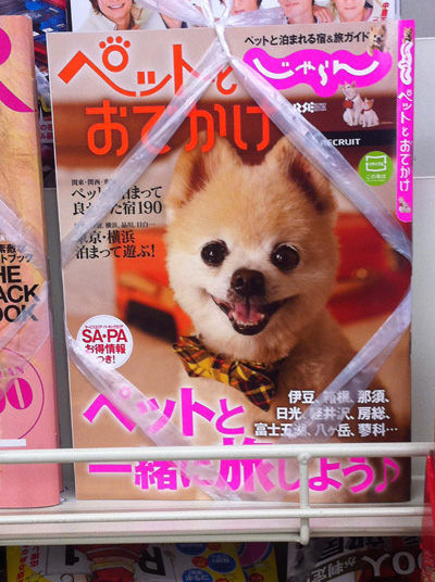 アプリとか雑誌の☆DESIGNS_f0196753_21363876.jpg