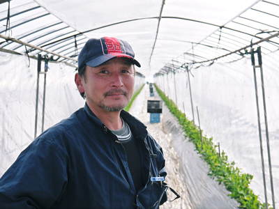 スナップエンドウ「シャキ甘“菊光”」たくましく成長中!_a0254656_19243693.jpg