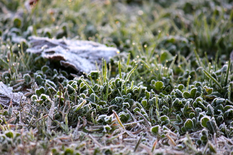 a0248459_2018138.jpg