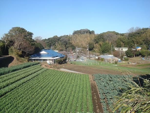 c0110366_963976.jpg