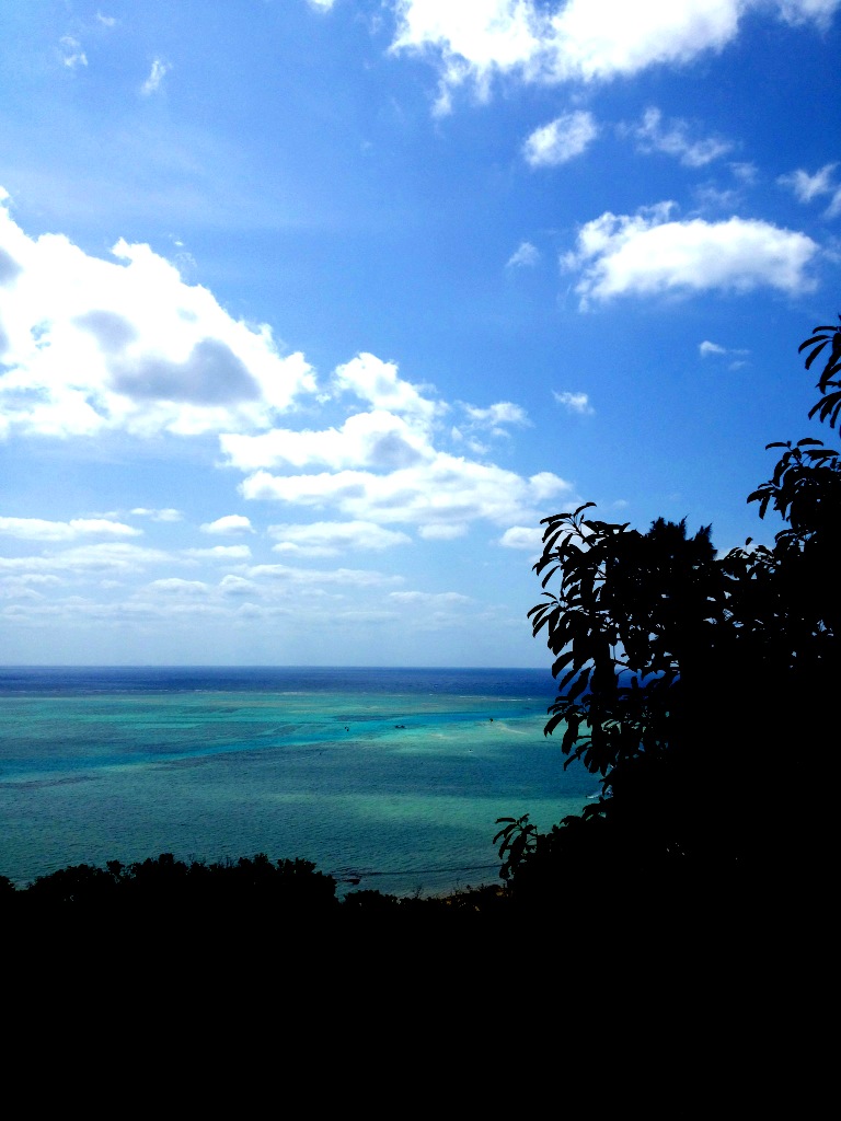 a0014067_22365654.jpg
