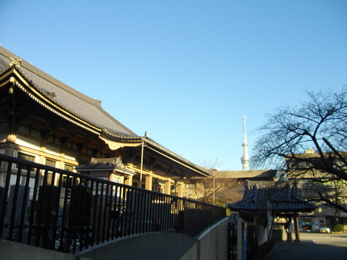ゲラ校正を中断して、お墓参りに・・・。_c0198869_21531552.jpg