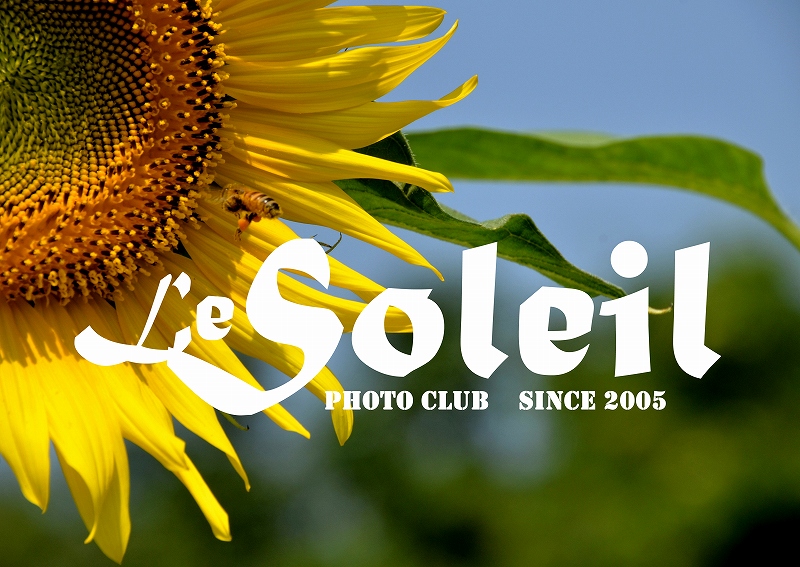 101　Photo Club Soleilの旗標_d0066469_14581278.jpg