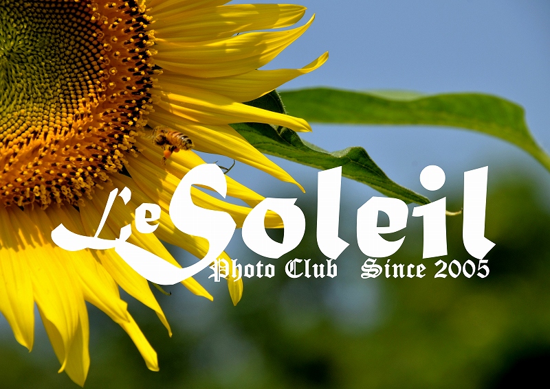 101　Photo Club Soleilの旗標_d0066469_14583139.jpg