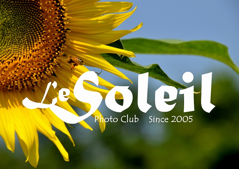 101　Photo Club Soleilの旗標_d0066469_14593641.jpg