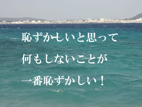 沖縄_c0000970_13292360.gif