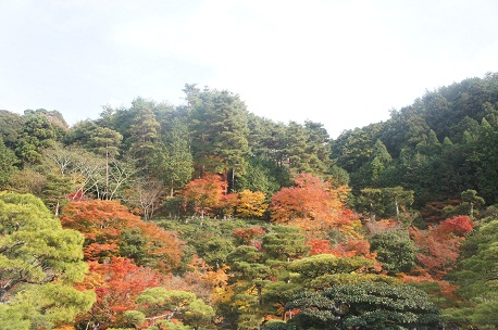 銀閣寺。_f0214479_162439.jpg