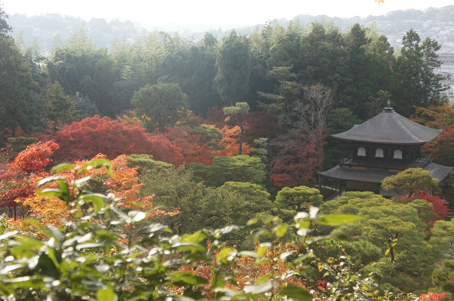 銀閣寺。_f0214479_18434884.jpg