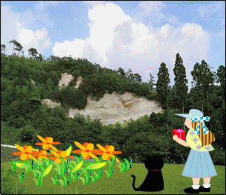 11 9月 にupした自作アニメをfacebookにupしたいが そのほか 庭の花たち