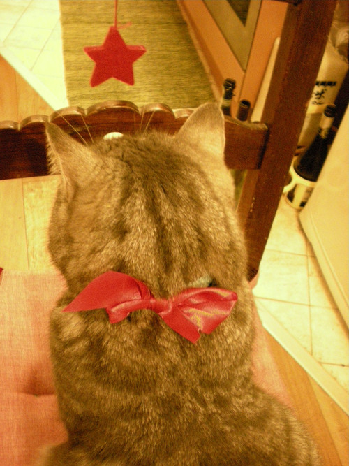 2012 年のクリスマスを振り返って。。_c0179785_7503643.jpg