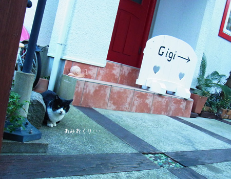 江ノ島「カフェーマル」と「ギャラリーザッカ　ジジ」の看板猫さん_d0170087_1433251.jpg