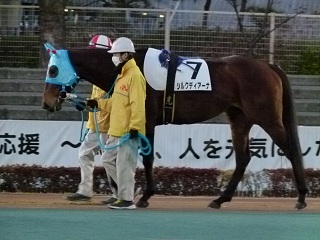 a0161290_2339028.jpg