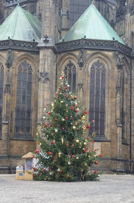 e0206490_22231566.jpg