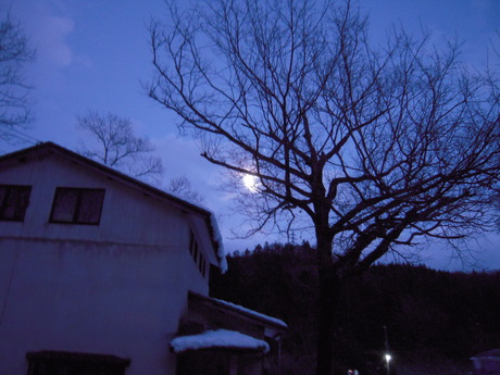 d0234293_874123.jpg