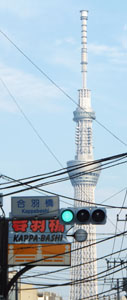 b0020695_14115.jpg