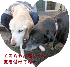 d0282395_20423014.png