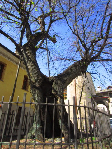 c0180096_23295335.jpg