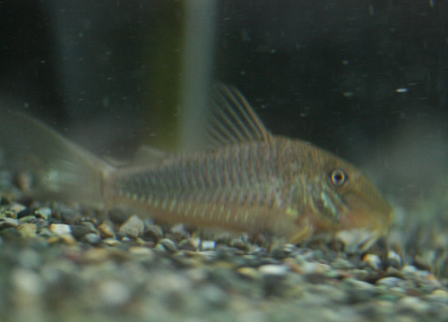 c0165800_23353536.jpg