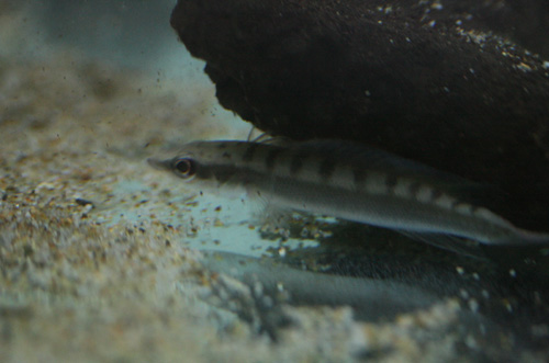 c0165800_233908.jpg