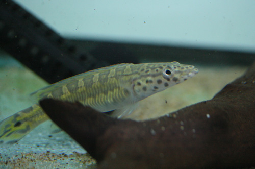 c0165800_23453816.jpg