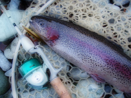 c0023804_981748.jpg