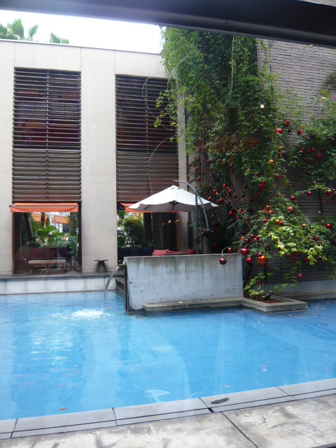 a0235007_13592941.jpg