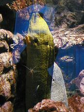 a0251413_1539489.jpg