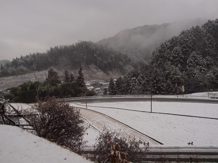 雪景色いろいろ_c0116915_2335746.jpg