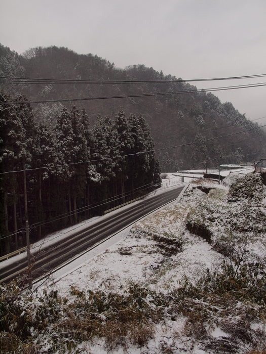 雪景色いろいろ_c0116915_2337160.jpg