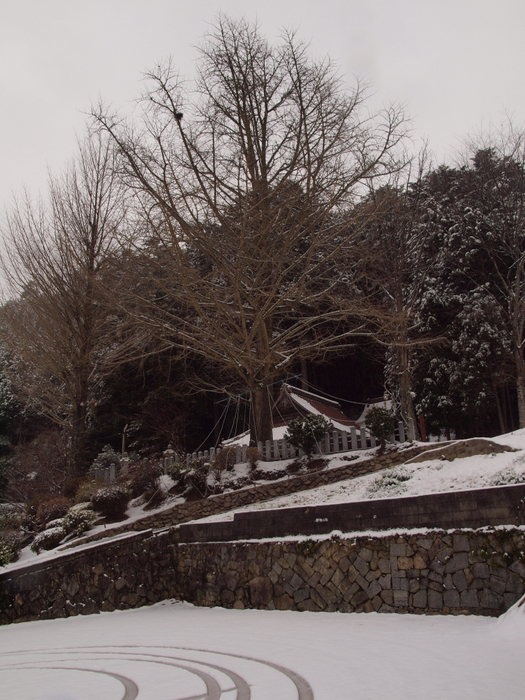 雪景色いろいろ_c0116915_23421049.jpg