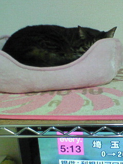 c0145016_0255927.jpg