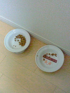 c0145016_8261077.jpg