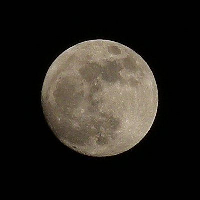 a0260019_17938.jpg