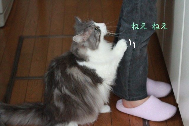e0214720_20121842.jpg