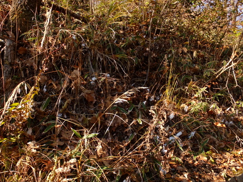 b0281732_21485751.jpg