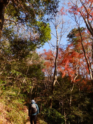 b0281732_2149489.jpg