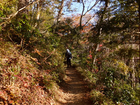 シモバシラを観に高尾山♪　〜12月9日(日)〜　その②_b0281732_21495667.jpg