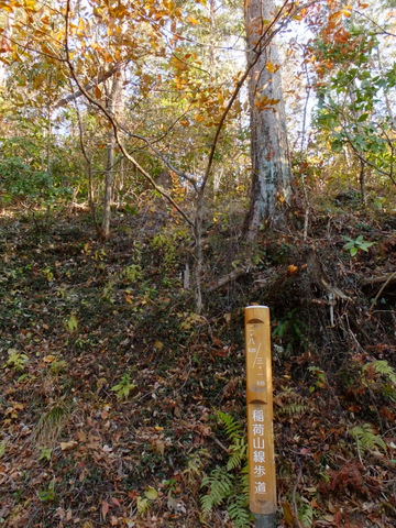 シモバシラを観に高尾山♪　〜12月9日(日)〜　その②_b0281732_2150245.jpg