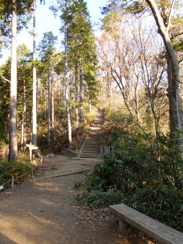 シモバシラを観に高尾山♪　〜12月9日(日)〜　その②_b0281732_2150576.jpg