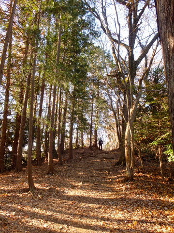 b0281732_2151942.jpg
