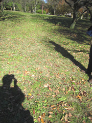 f0038336_8392449.jpg