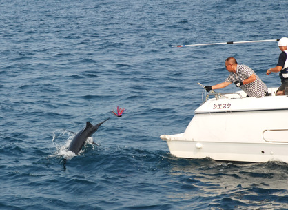 チョンの間　90分・・・【カジキ・マグロトローリング】_f0009039_1464149.jpg