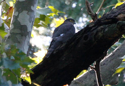 b0019140_15458.jpg