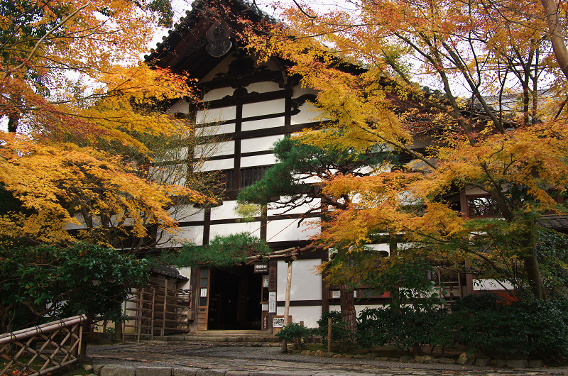 晩秋・龍安寺（前編・石庭編）_f0155048_1528368.jpg