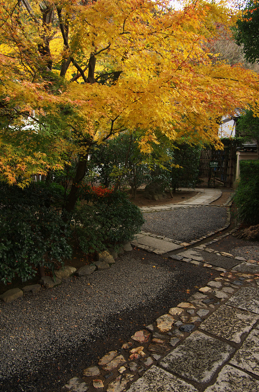 晩秋の龍安寺（後編・外庭編）_f0155048_15334989.jpg