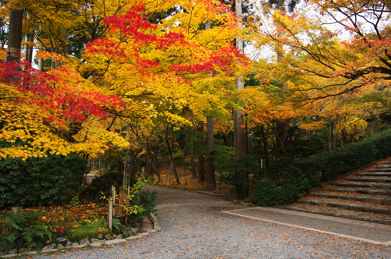 晩秋の龍安寺（後編・外庭編）_f0155048_15341251.jpg