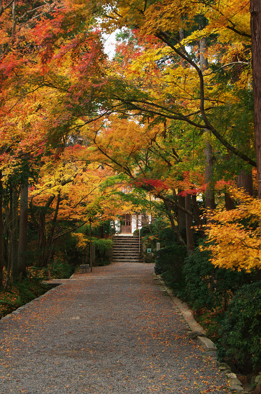 晩秋の龍安寺（後編・外庭編）_f0155048_15353114.jpg